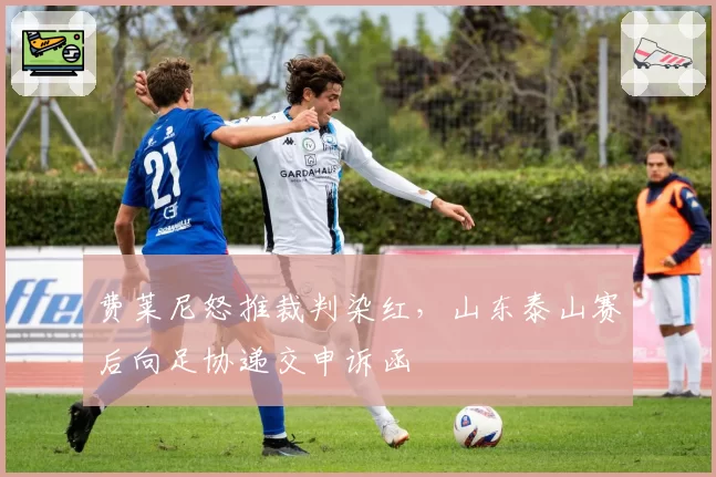 费莱尼怒推裁判染红,山东泰山赛后向足协递交申诉函