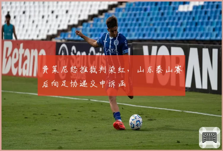 费莱尼怒推裁判染红,山东泰山赛后向足协递交申诉函